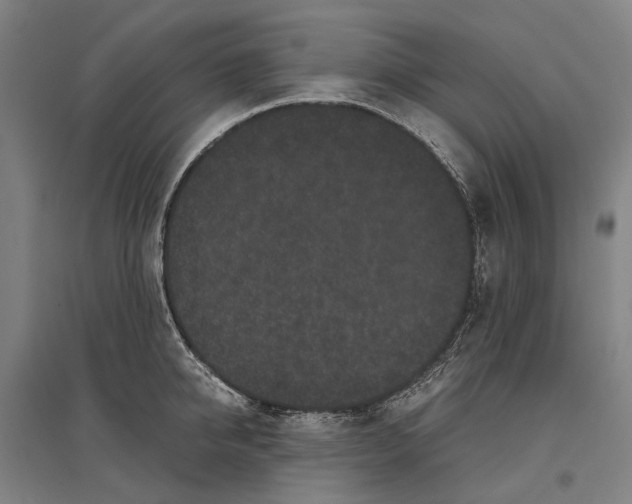 X0000096650950200803041146