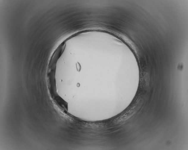 X0000096650951200803041146