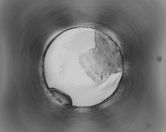 X0000096650952200803041146