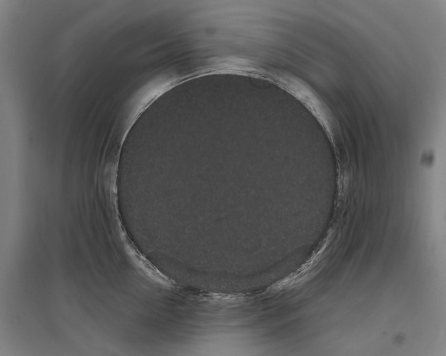 X0000096650954200803041146