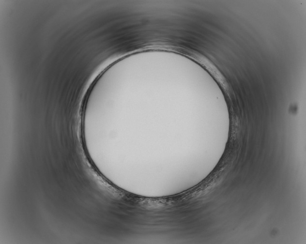 X0000096650955200803041146