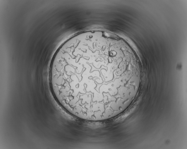 X0000096650957200803041146