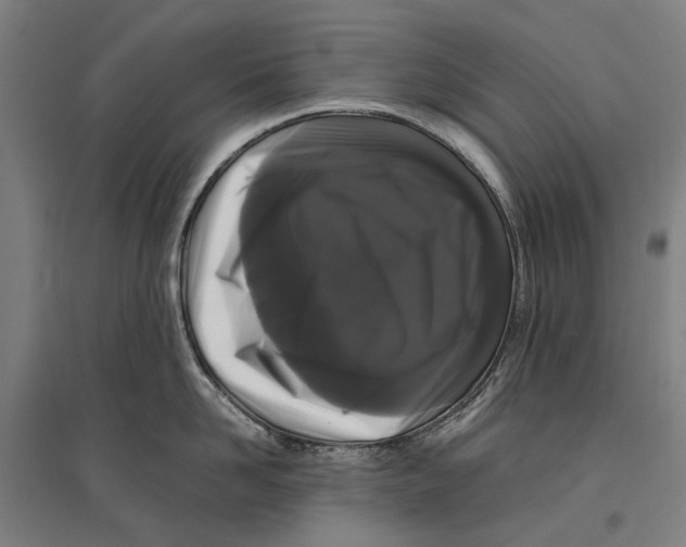 X0000096650958200803041146