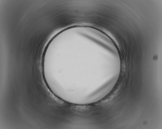 X0000096650959200803041146