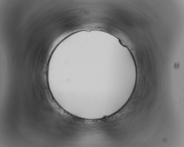 X0000096650960200803041146