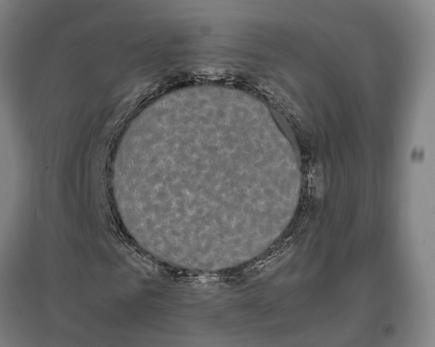 X0000096650961200803041146