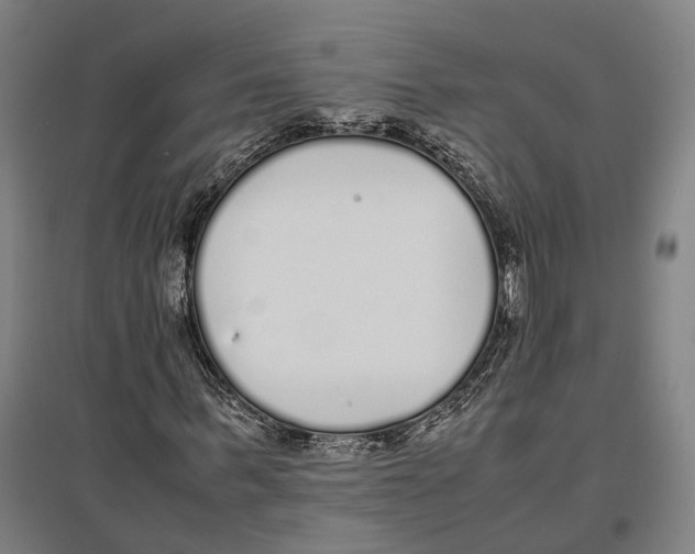 X0000096650963200803041146