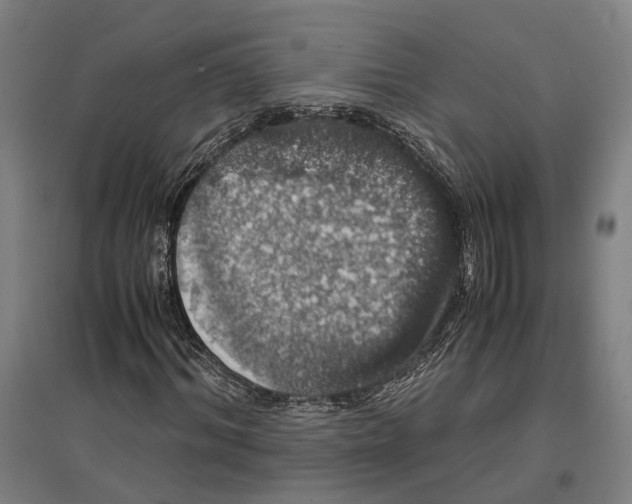 X0000096650964200803041146