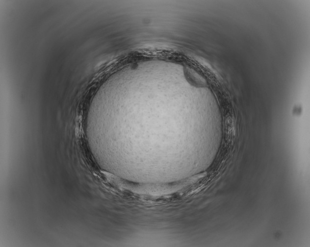 X0000096650965200803041146