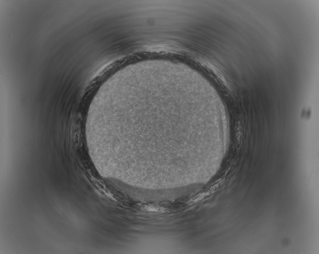 X0000096650968200803041146