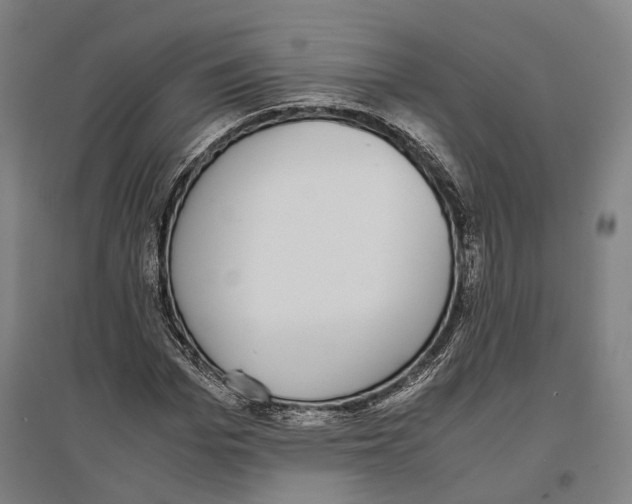 X0000096650969200803041146