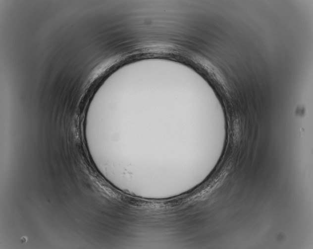 X0000096650970200803041145