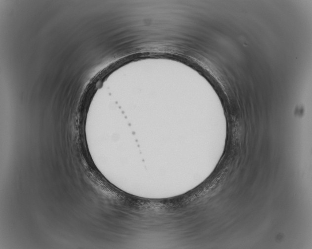 X0000096650971200803041145