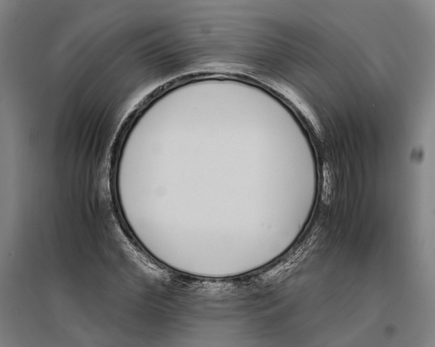 X0000096650972200803041145