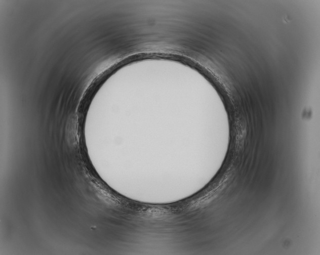 X0000096650974200803041145