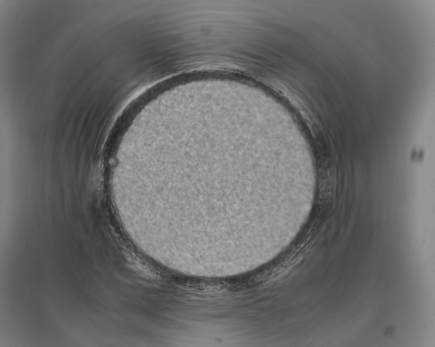 X0000096650975200803041145