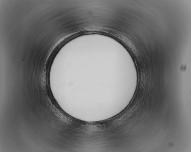 X0000096650976200803041145