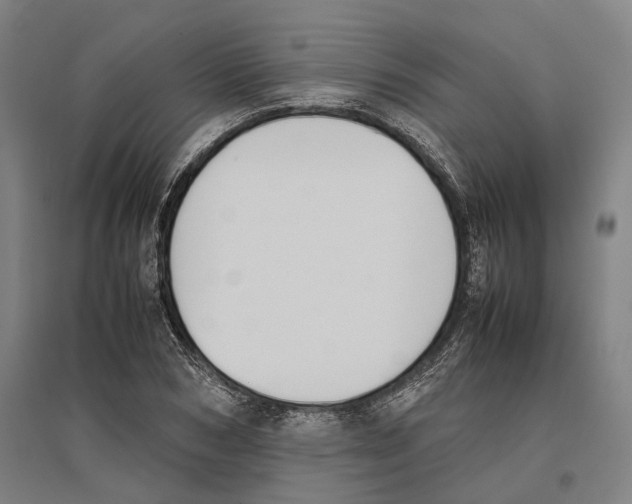 X0000096650978200803041145