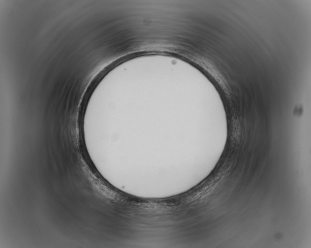 X0000096650980200803041145