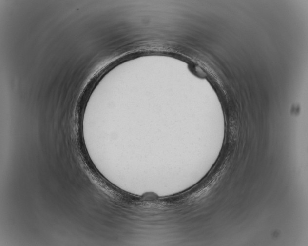 X0000096650981200803041145