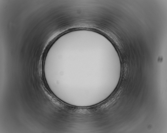 X0000096650982200803041145