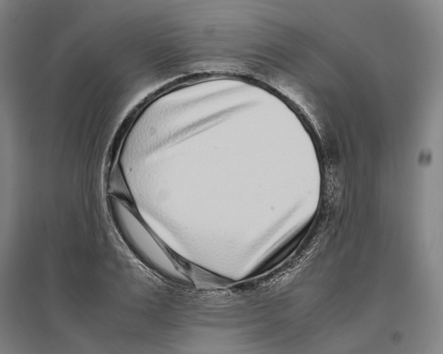 X0000096650983200803041145