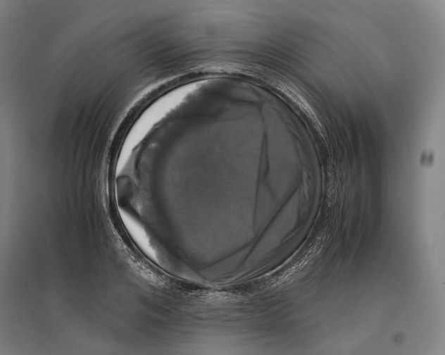 X0000096650984200803041145