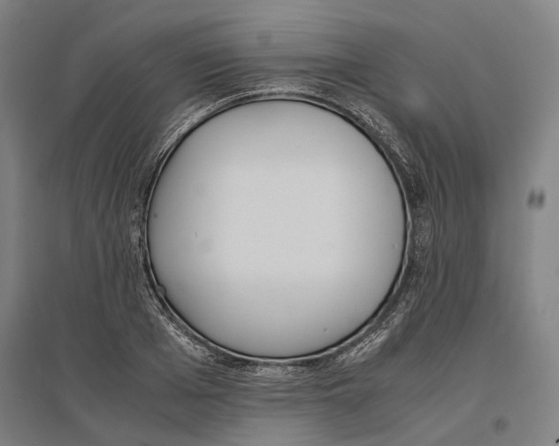 X0000096650985200803041145