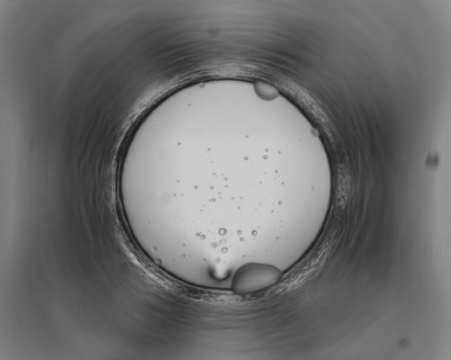 X0000096650986200803041145