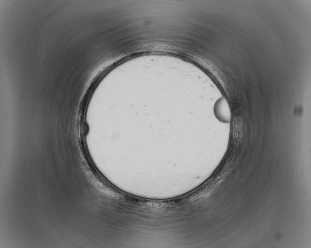 X0000096650987200803041145