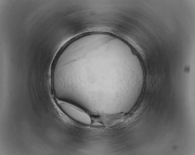 X0000096650988200803041145