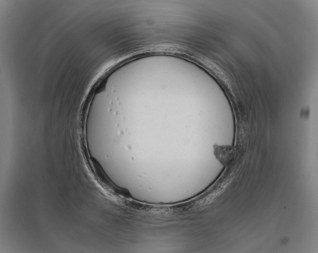 X0000096650989200803041145