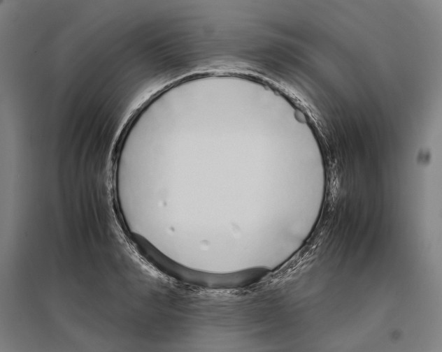 X0000096650990200803041145