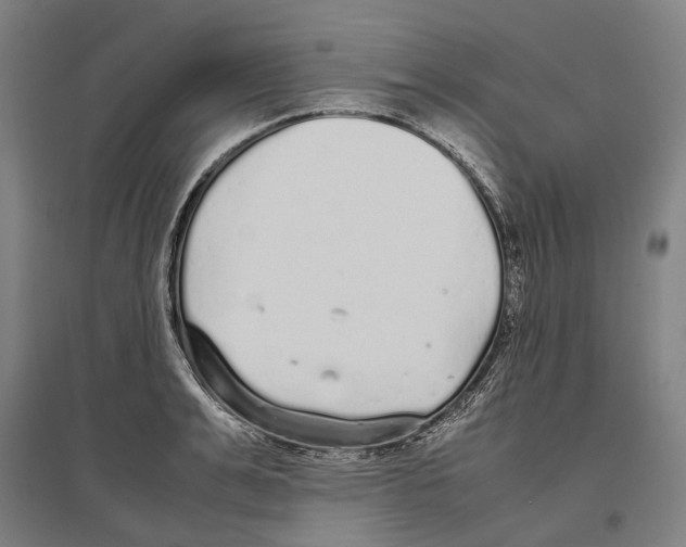 X0000096650991200803041145