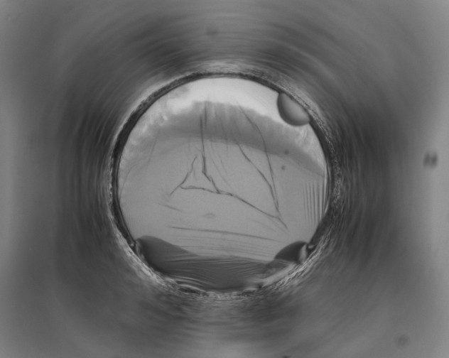 X0000096650992200803041145