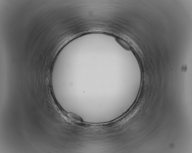 X0000096650993200803041145