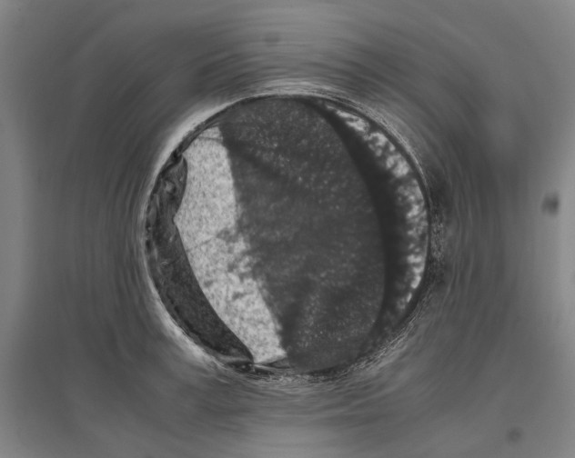 X0000096650995200803041145