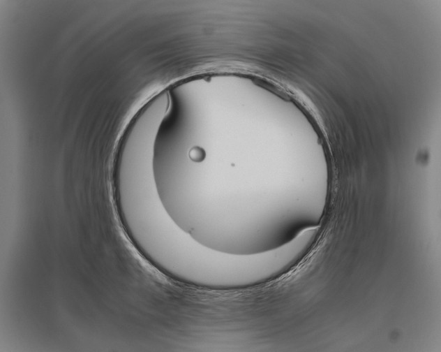 X0000096650997200803041145