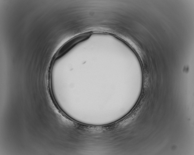 X0000096650999200803041145