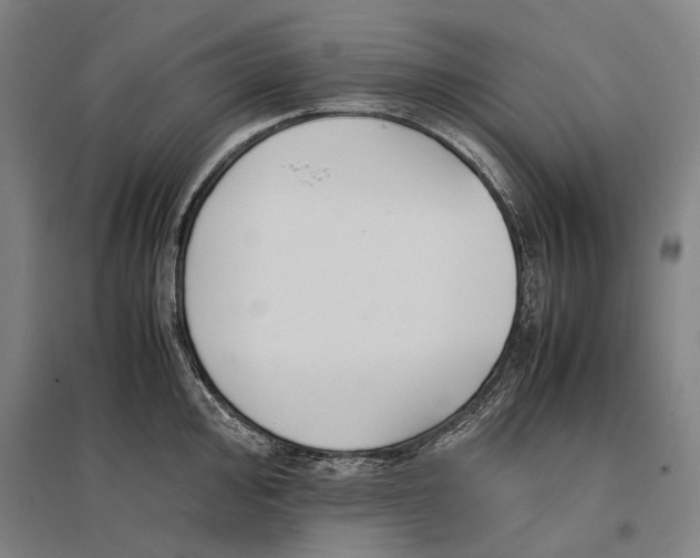 X0000096651000200803041145