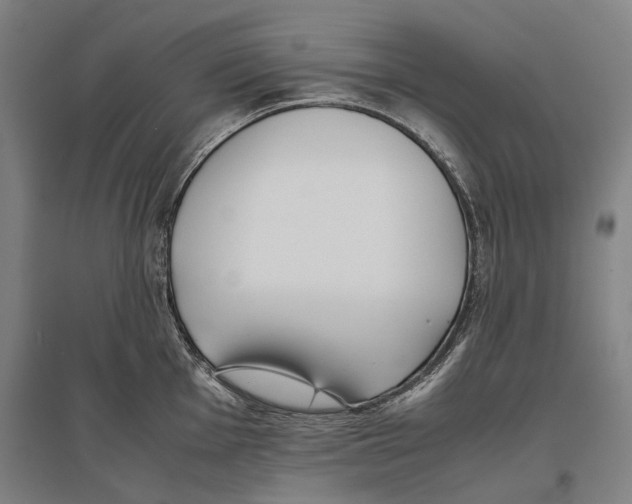 X0000096651001200803041145