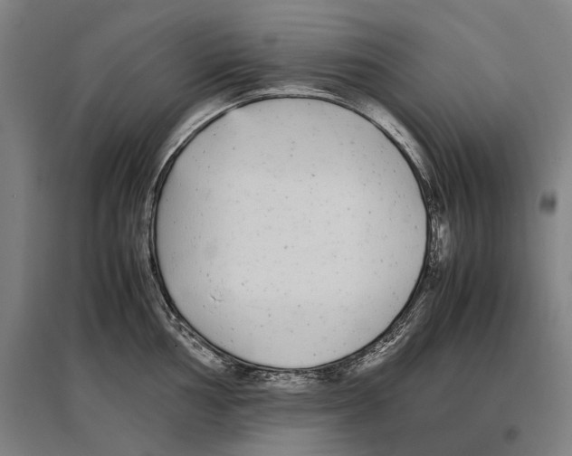 X0000096651002200803041145