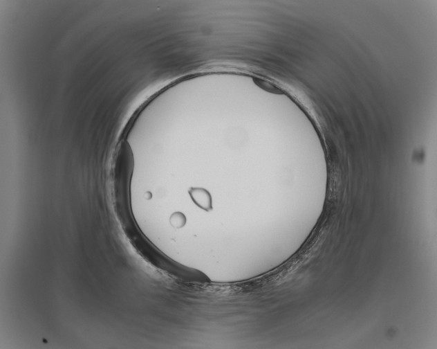 X0000096651003200803041145