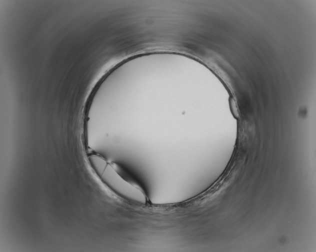 X0000096651005200803041145