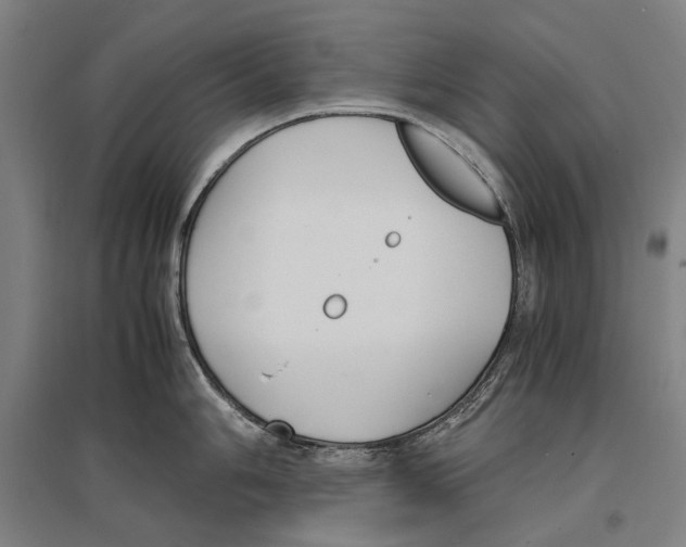 X0000096651006200803041145