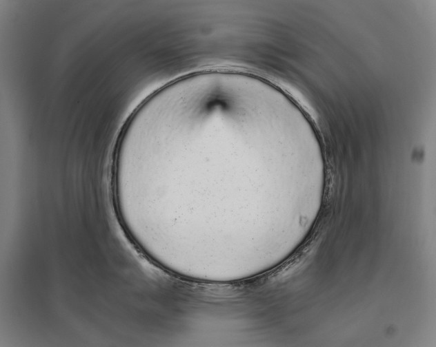 X0000096651007200803041145