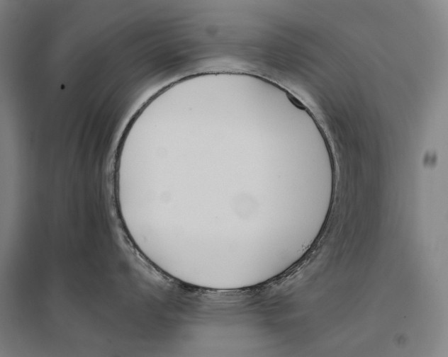 X0000096651008200803041145