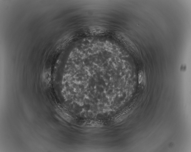 X0000096651011200803041144