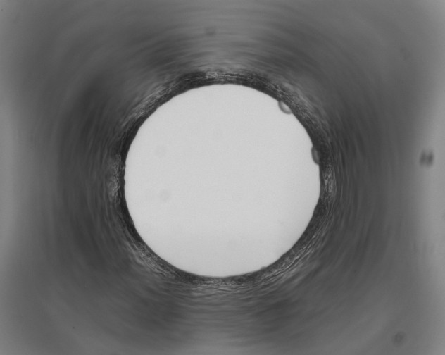 X0000096651012200803041144