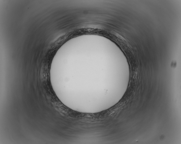 X0000096651014200803041144